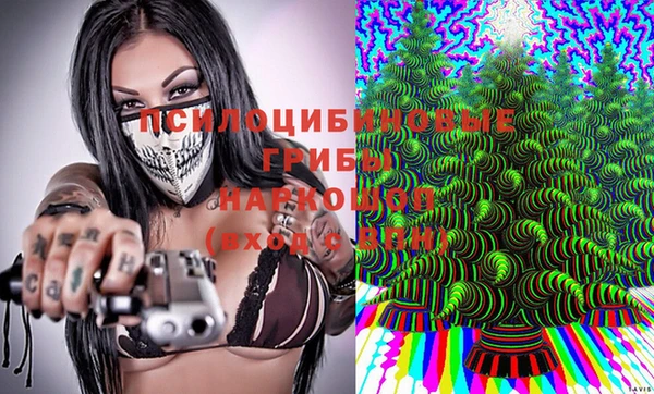 винт Пенза