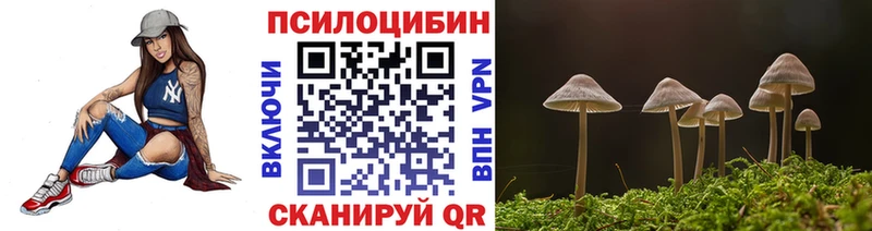 купить наркотик  Лысьва  Псилоцибиновые грибы MAGIC MUSHROOMS 