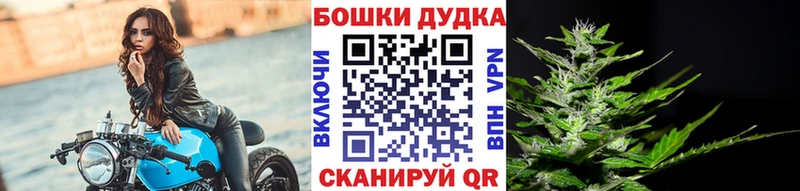 Канабис AK-47  где найти   мега как войти  Лысьва 